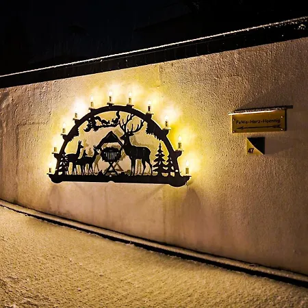 Fewo Harz Haennig 1 Wieda Exterior photo