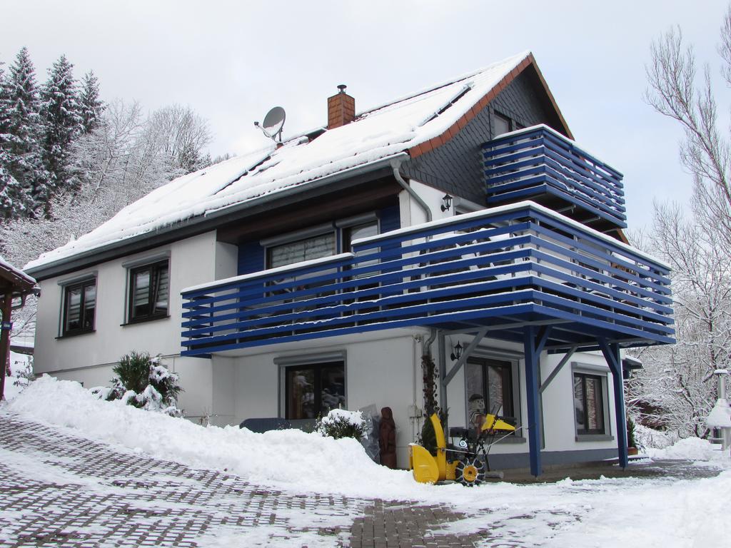 Apartment Harz Haennig 1 Wieda