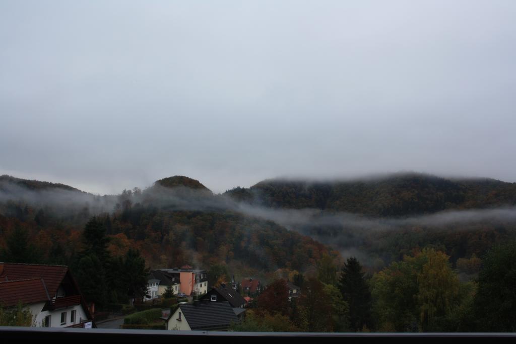 Harz Haennig 1 Wieda