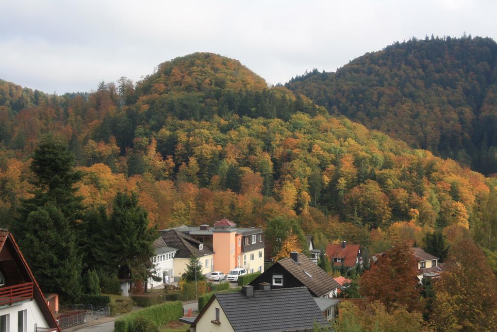 Harz Haennig 1 Wieda